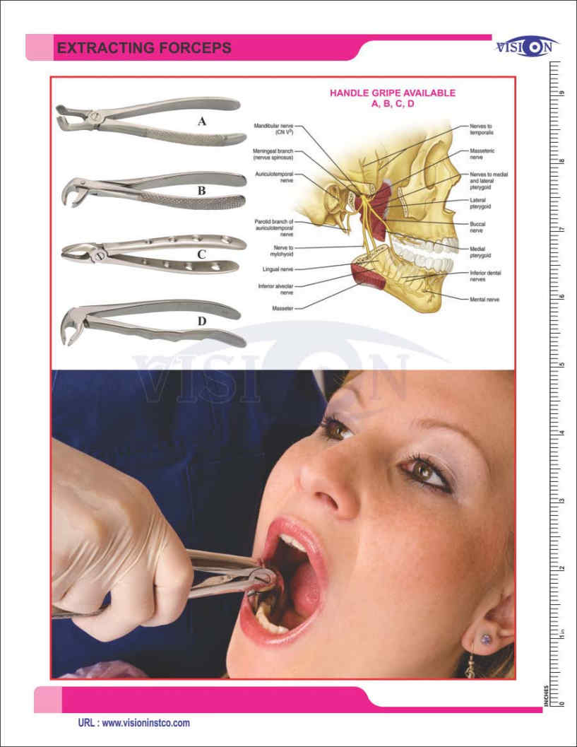 Vision Instruments Company Instruments